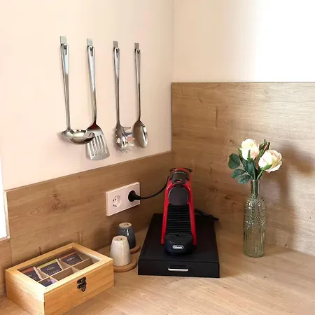 Apartment Gesamte Wohnung, Kueche, Parkplatz, Terrasse Bad Bellingen