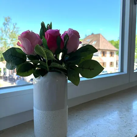 Apartment Gesamte Wohnung, Kueche, Parkplatz, Terrasse