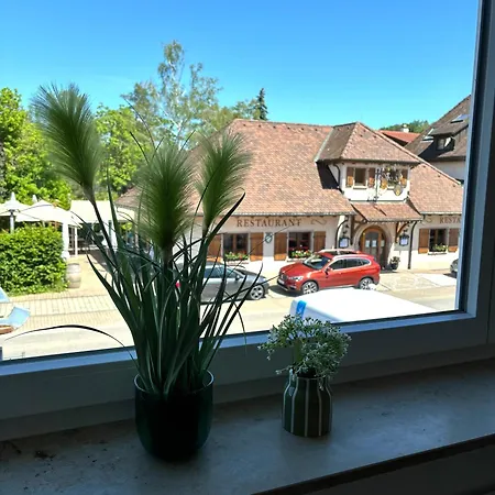 Gesamte Wohnung, Kueche, Parkplatz, Terrasse * Bad Bellingen